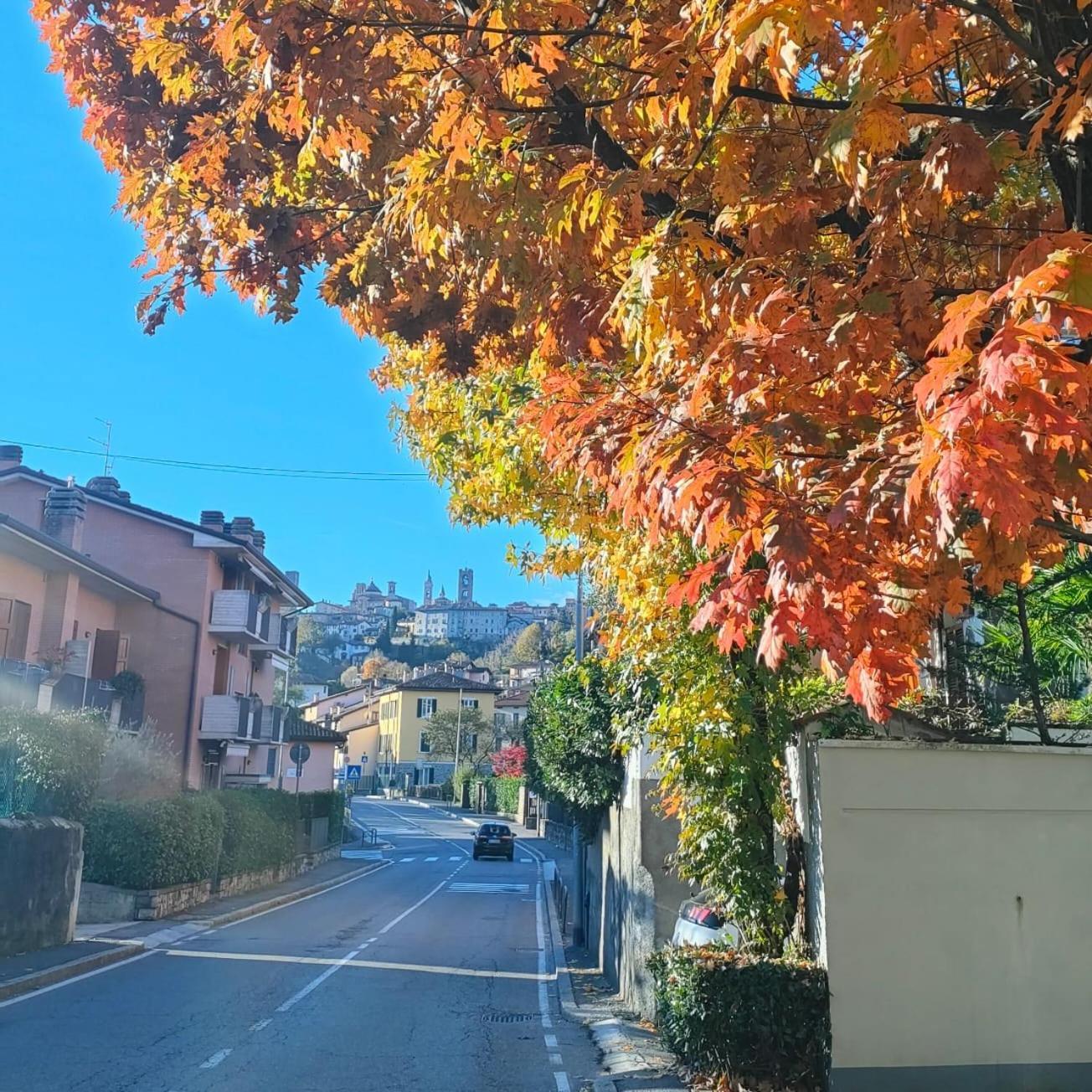 Nelly Bergamo Apartments Luaran gambar
